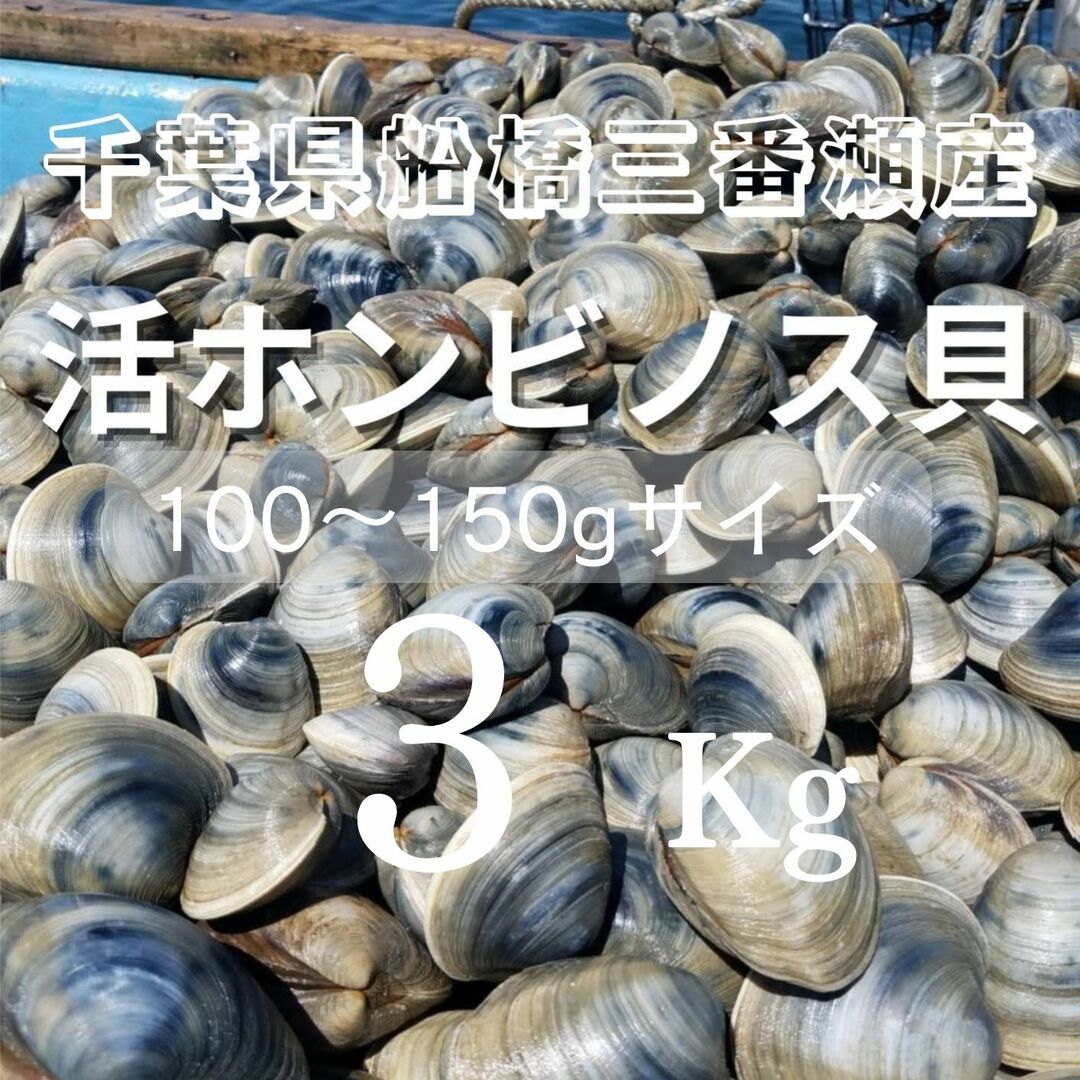 鍋の季節です！船橋三番瀬産ホンビノス貝小サイズ３kg☆送料込みの通販　by　歌恵丸｜ラクマ