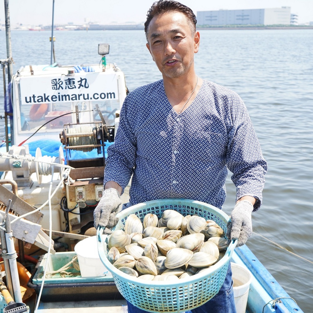 鍋の季節です！船橋三番瀬産ホンビノス貝小サイズ３kg☆送料込み