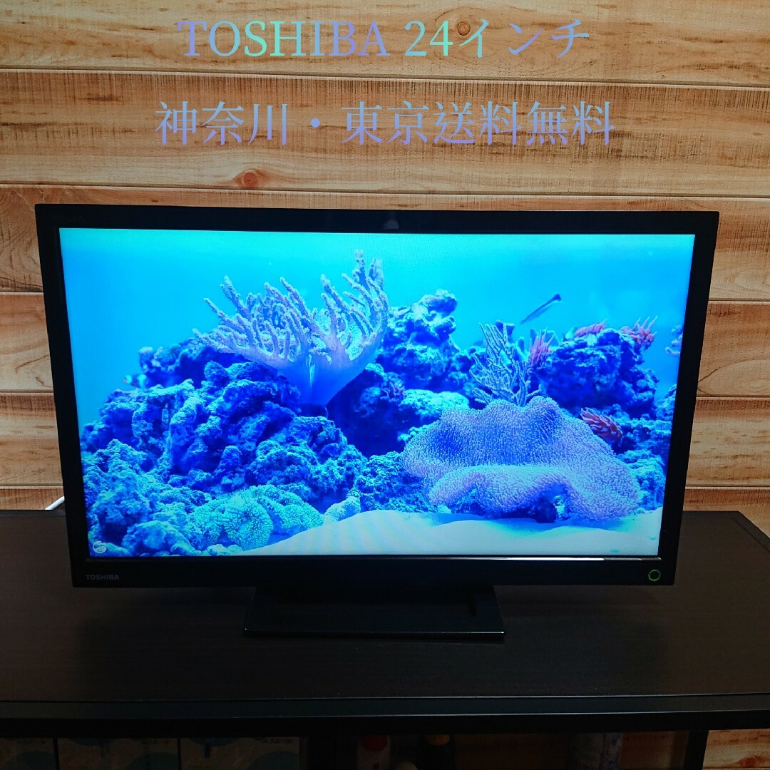 東芝(トウシバ)のTOSHIBA REGZA S12 24S12 スマホ/家電/カメラのテレビ/映像機器(テレビ)の商品写真
