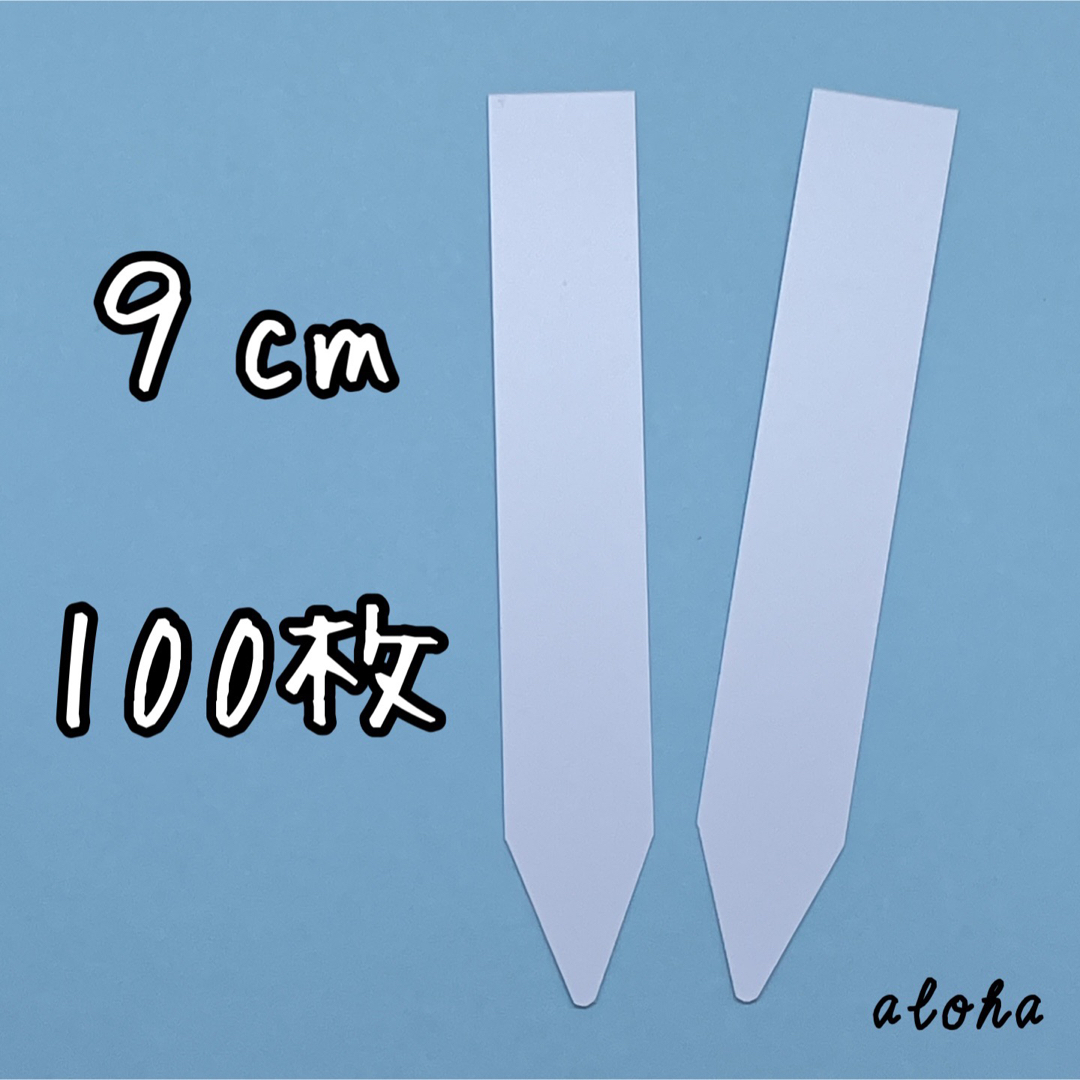 ホワイト　100枚 多肉植物 アガベ サボテンに◎ 園芸用 ラベル ネームラベル ハンドメイドのフラワー/ガーデン(その他)の商品写真