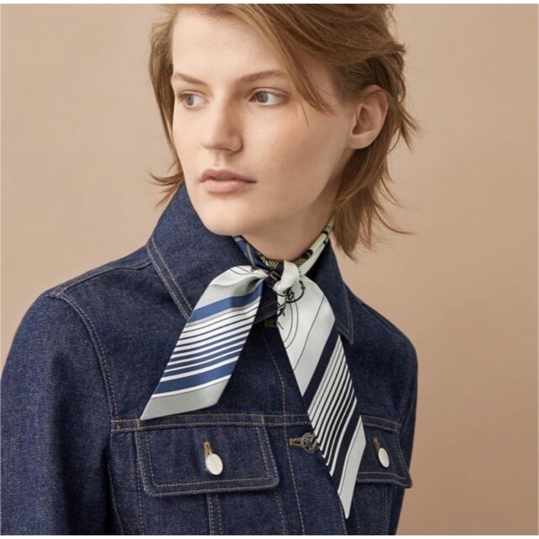 エルメス ツイリー エクスリブリス 新品タグ付 Hermes | www