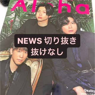 ニュース(NEWS)のテレビガイドアルファ　NEWS 切り抜き(アート/エンタメ/ホビー)