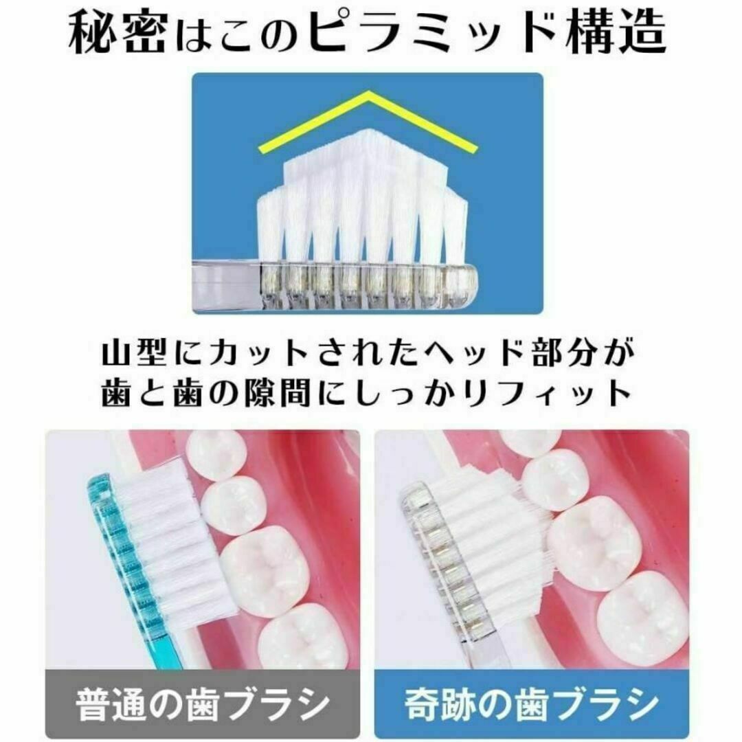奇跡の歯ブラシ クリア 大人用 ３本セット (本数変更可)