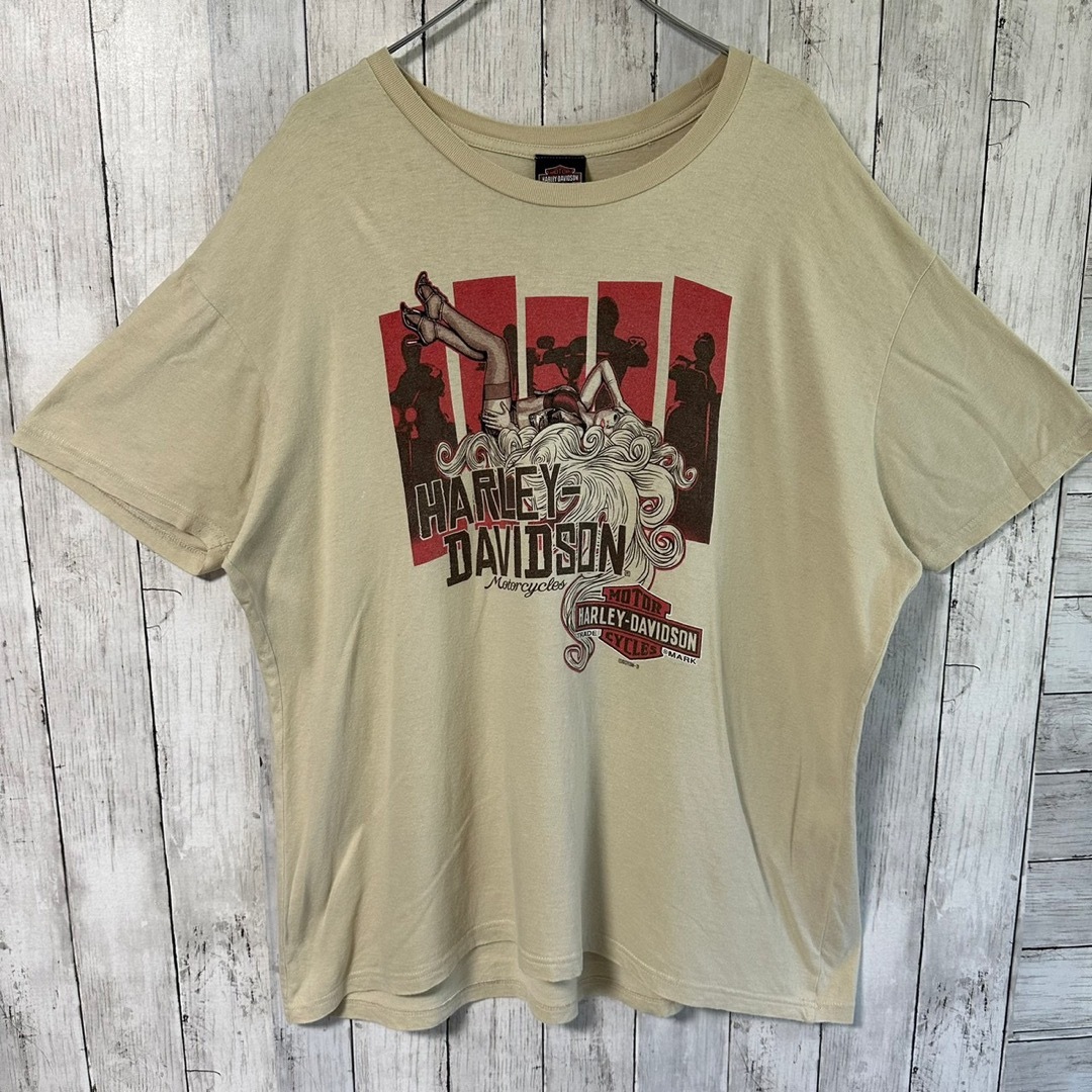 Harley Davidson(ハーレーダビッドソン)のHARLEY-DAVIDSON Tシャツ XXL 両面プリント アースカラー メンズのトップス(Tシャツ/カットソー(半袖/袖なし))の商品写真