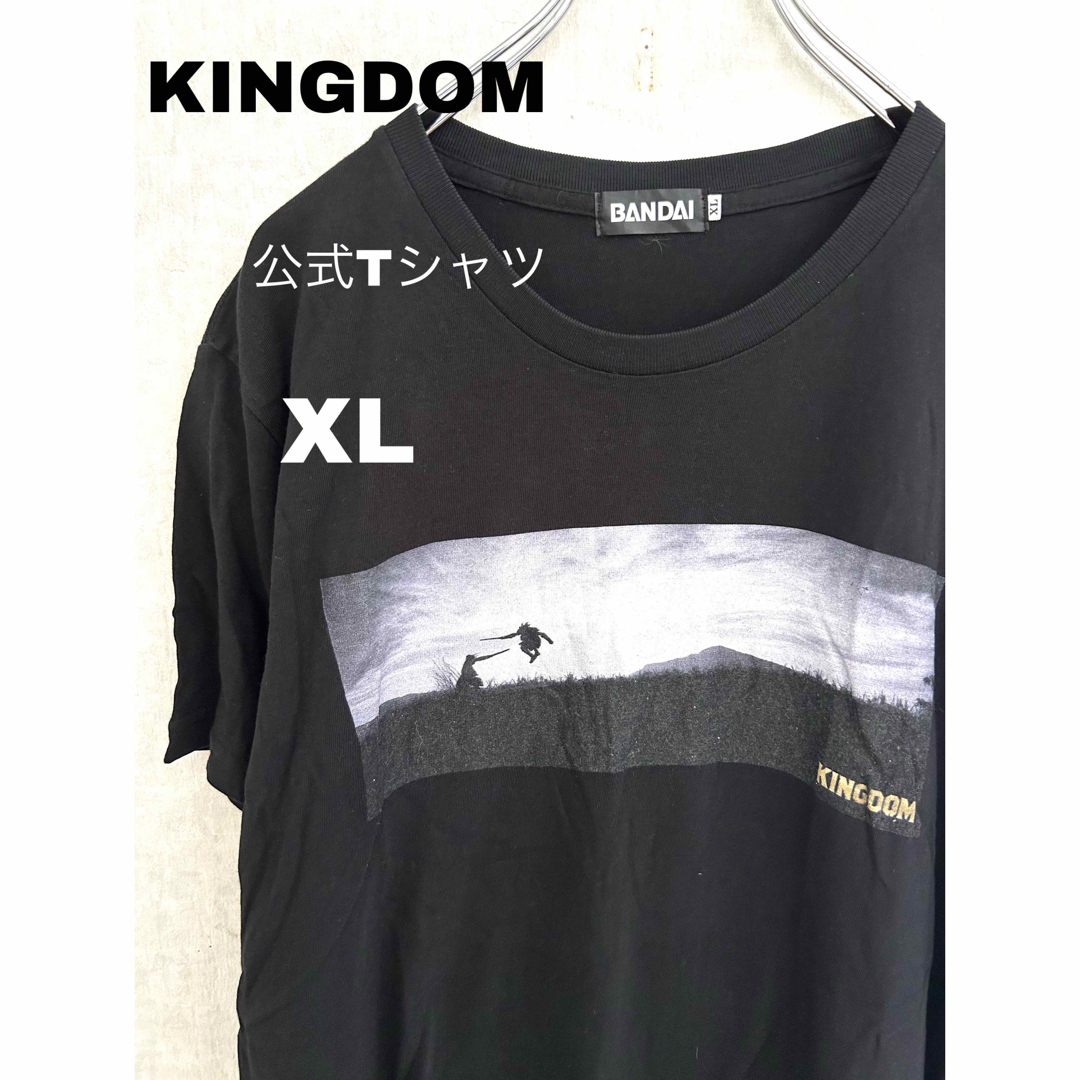 BANDAI(バンダイ)の【完売品】BANDAI公式 KINGDOM Tシャツ ー信&漂ー ムビT メンズのトップス(Tシャツ/カットソー(半袖/袖なし))の商品写真