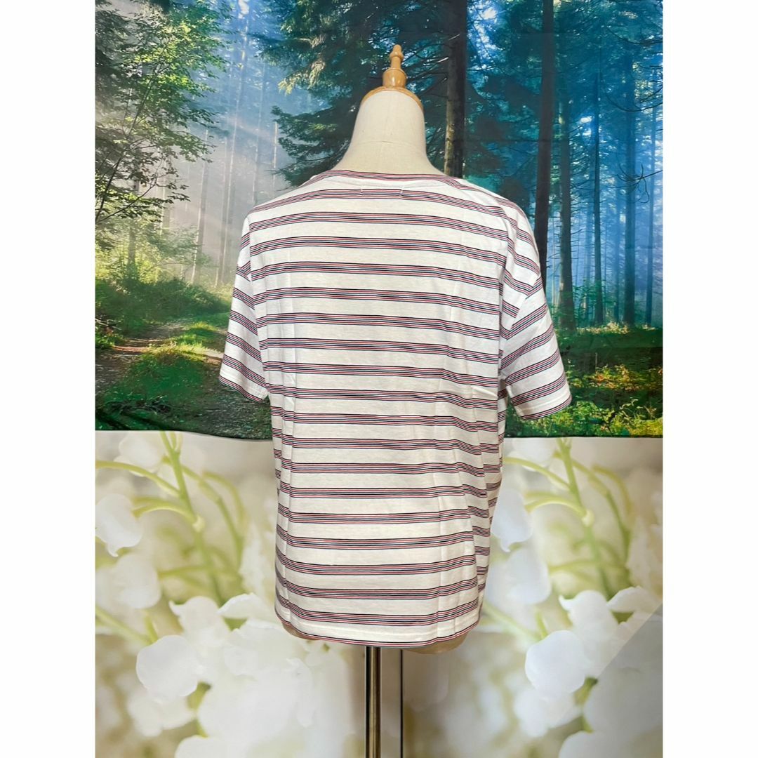スタジオクリップ　カラー マルチ ボーダー プリントTシャツ レディースのトップス(Tシャツ(半袖/袖なし))の商品写真