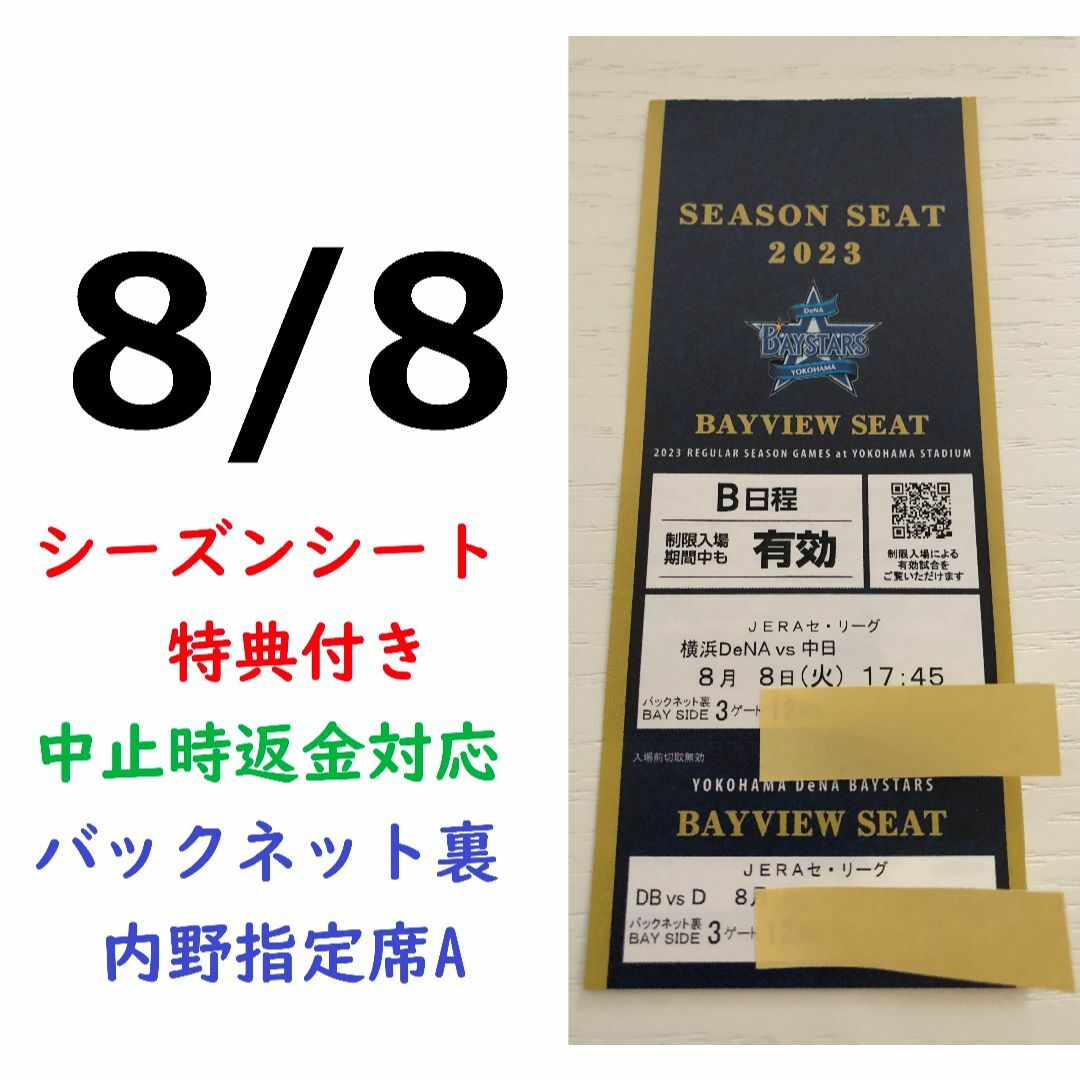 【中止補償】8/8横浜DeNAベイスターズ×中日 横浜スタジアムネット裏