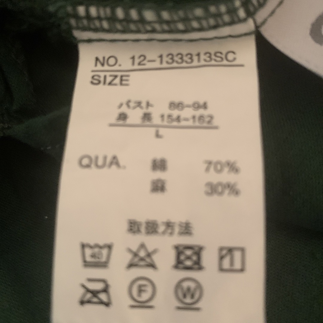 グリーン　ブラウス レディースのトップス(シャツ/ブラウス(半袖/袖なし))の商品写真