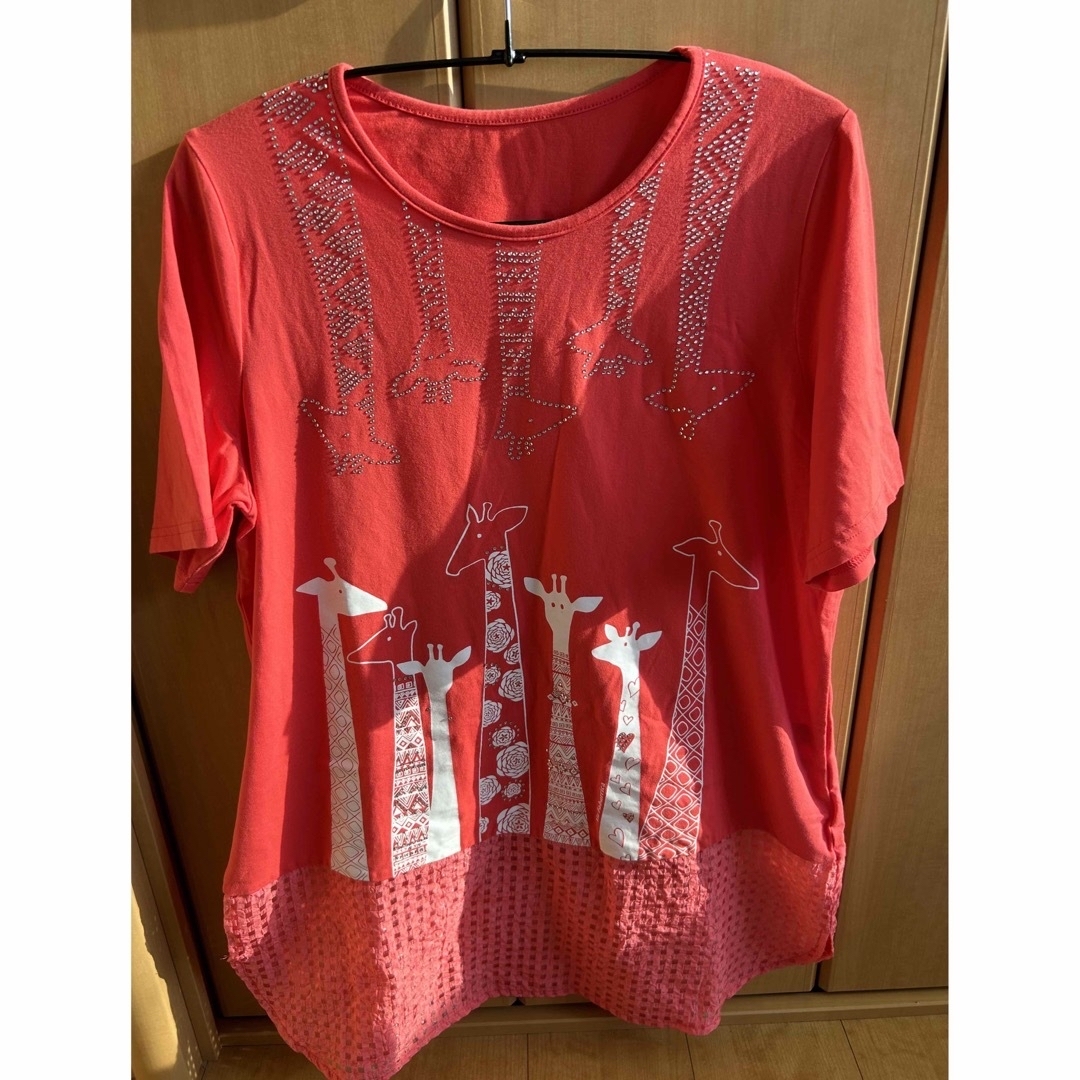 👚　アニマル柄　レディースTシャツ　👚 レディースのトップス(Tシャツ(半袖/袖なし))の商品写真