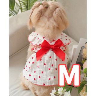 【新品未使用❣️】Mサイズ ハートプリント柄 ドッグウェア(犬)