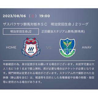 ザスパクサツ群馬 vs 栃木ＳＣ　ペアチケット(サッカー)