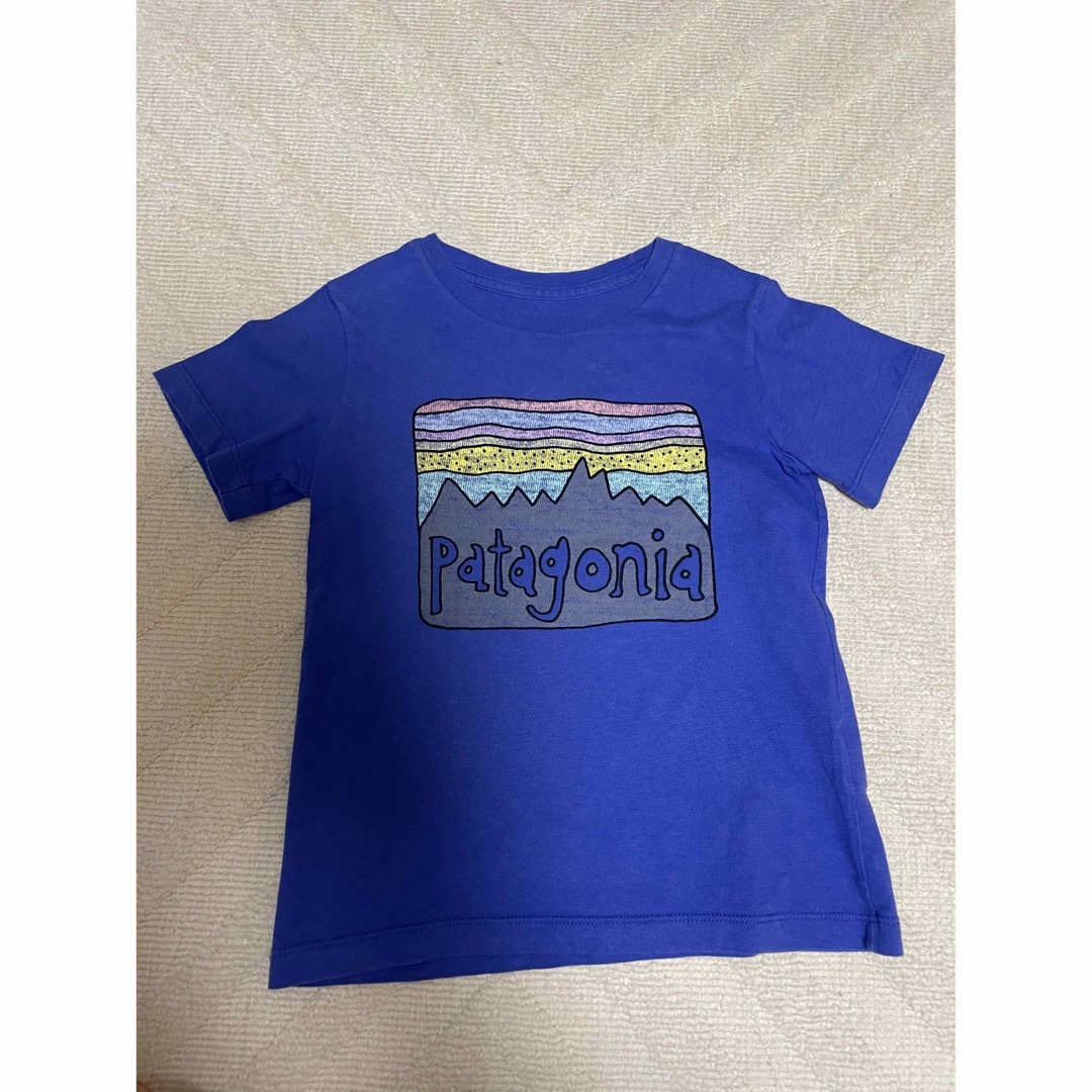 patagonia(パタゴニア)のパタゴニア　キッズtシャツ4T キッズ/ベビー/マタニティのキッズ服男の子用(90cm~)(Tシャツ/カットソー)の商品写真