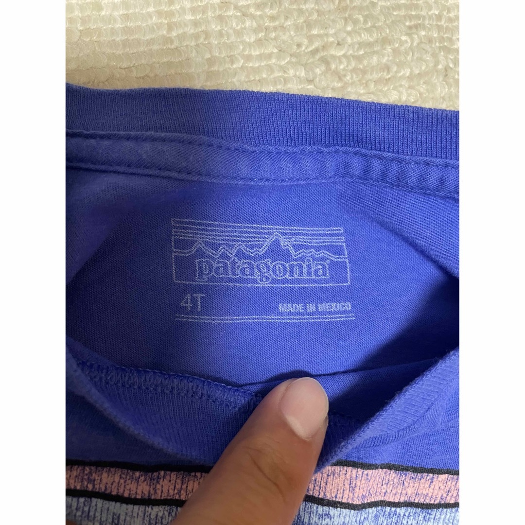 patagonia(パタゴニア)のパタゴニア　キッズtシャツ4T キッズ/ベビー/マタニティのキッズ服男の子用(90cm~)(Tシャツ/カットソー)の商品写真