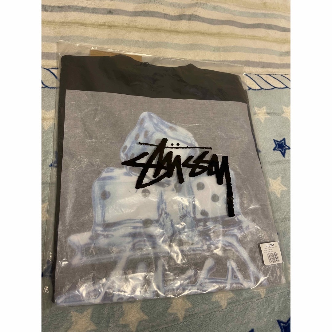 Stussy Melted Tee "White"