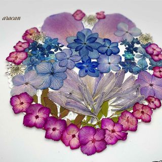 押し花素材  紫陽花、芍薬、レースフラワー、グリーン素材(各種パーツ)