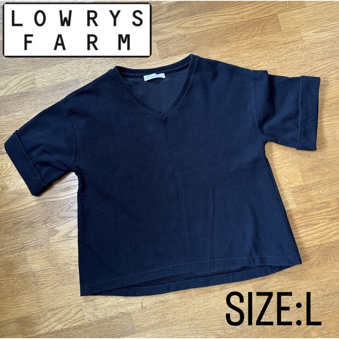 LOWRYS FARM(ローリーズファーム)のローリーズファーム Vネック 半袖カットソー　Lサイズ レディースのトップス(カットソー(半袖/袖なし))の商品写真