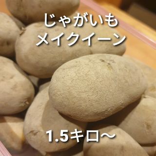 新じゃがいも　メイクイーン　1.5キロ〜(野菜)