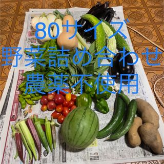 無農薬野菜詰め合わせ　(80サイズ)(野菜)