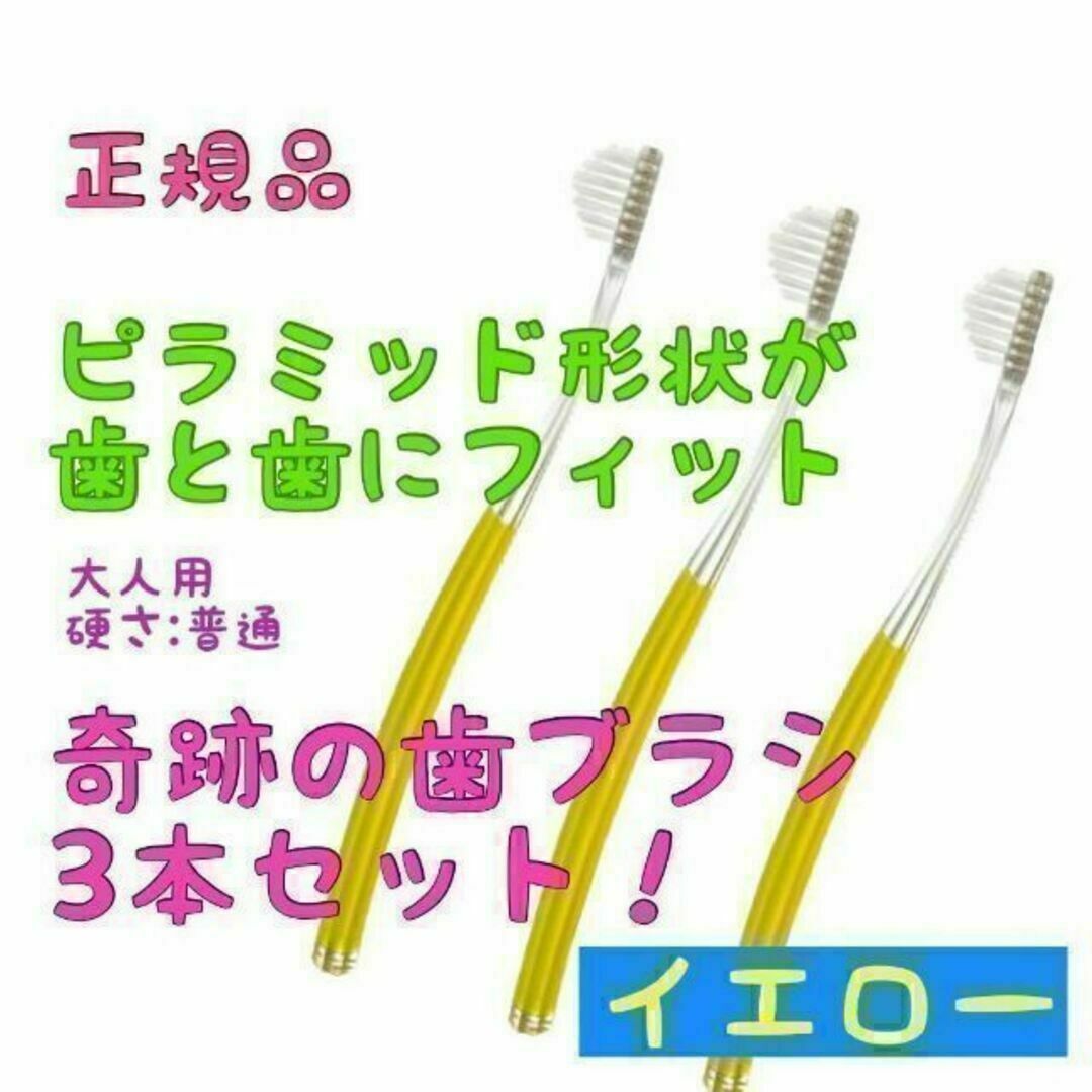 リア様専用 奇跡の歯ブラシ 大人用 ３本セットランダム色 コスメ/美容のオーラルケア(歯ブラシ/デンタルフロス)の商品写真