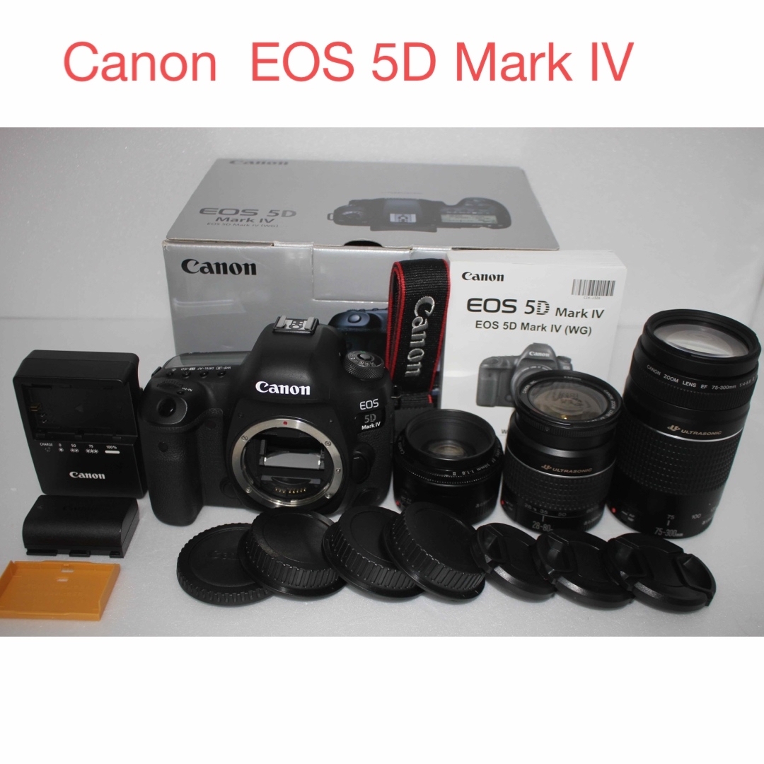 超美品 Canon EOS 5D Mark IV ボディ 付属品完備