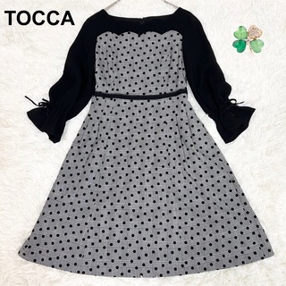 トッカ(TOCCA)の極美品✨ TOCCA トッカ　ワンピース　ドット　スカラップ　ドレス　Aライン(ひざ丈ワンピース)