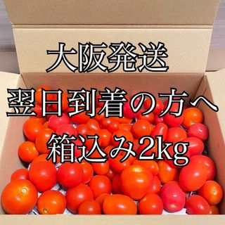 ミニトマト　箱込み2kg　ほれまる・ルージュジャポネーゼ・ロッソナポリタン(野菜)