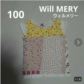 ウィルメリー(WILL MERY)の100  Will MERY  ウィルメリー  カットソー(Tシャツ/カットソー)