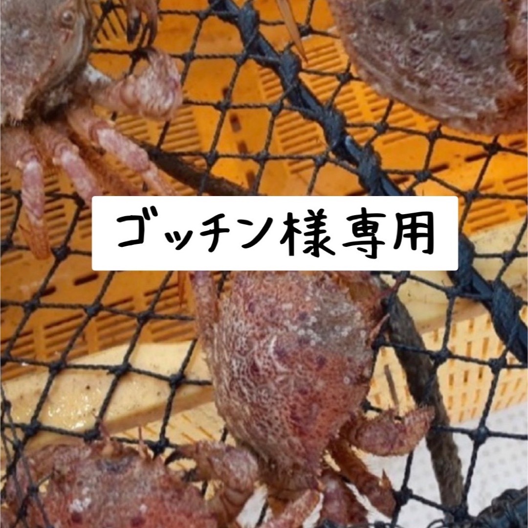 専用ページになります。 食品/飲料/酒の食品(魚介)の商品写真