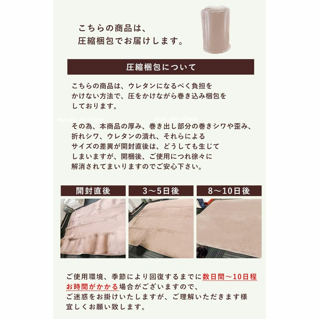 【色: グリーン】システムK カーペット ラグ ラグマット 防ダニ 抗菌 防臭 5