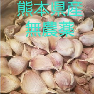 熊本県産　農薬不使用　にんにくバラ1kg(野菜)