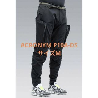 ARC'TERYX - 希少カラー ARC'TERYX VEILANCE LT 立体裁断 変形 パンツ