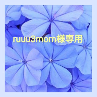 ruuu3mom様専用(その他)