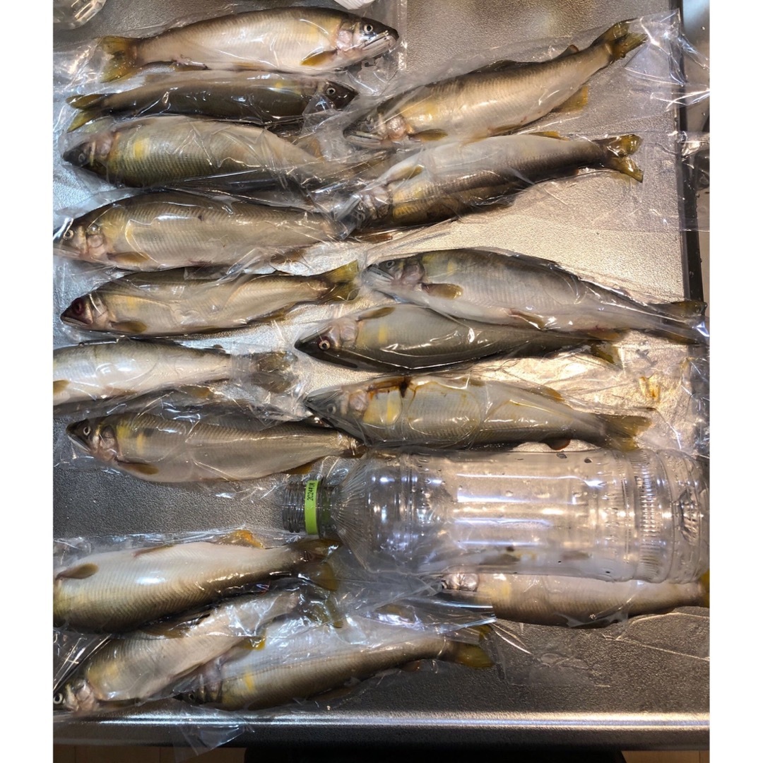 神通の天然鮎 食品/飲料/酒の食品(魚介)の商品写真