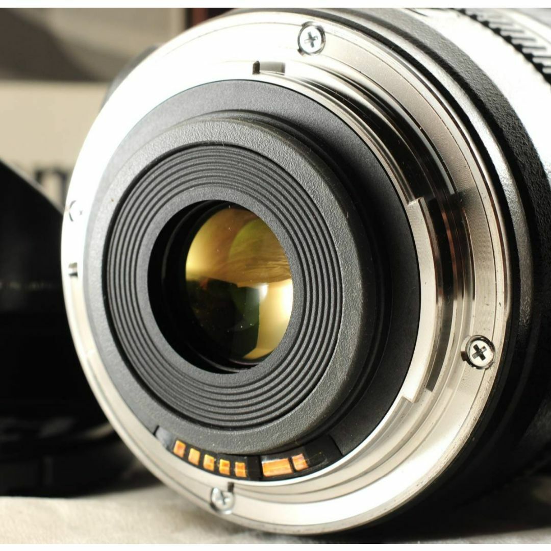 Canon EF-S 10-22mm 3.5-4.5 USM 元箱付！！