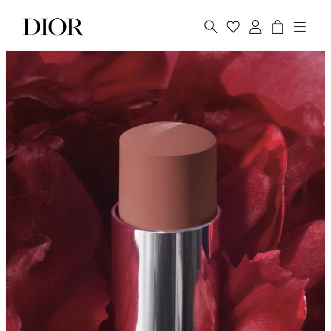 Dior(ディオール)のDior  ルージュ ディオール フォーエヴァー スティック　505 コスメ/美容のベースメイク/化粧品(口紅)の商品写真