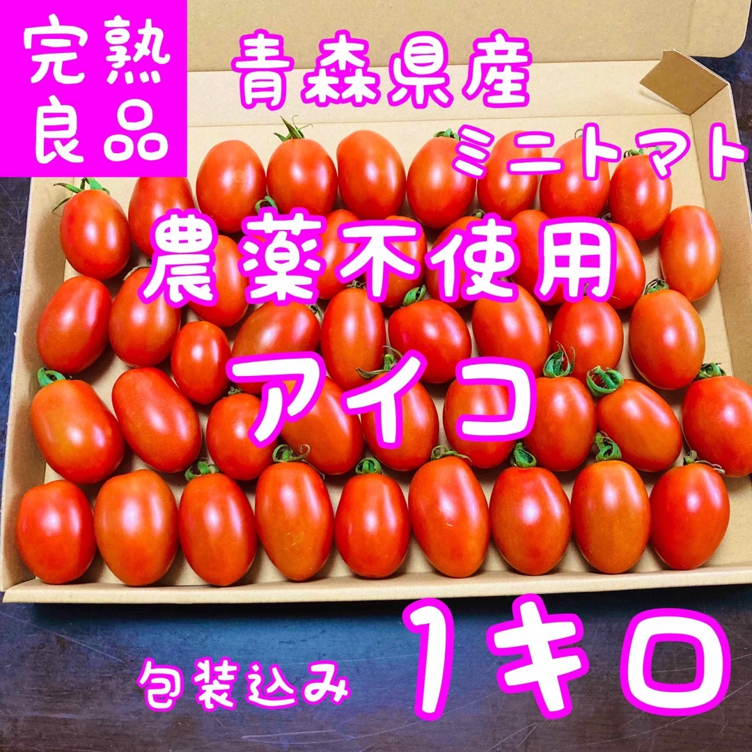 青森県産 ミニトマト アイコ 10キロ | www.esn-ub.org