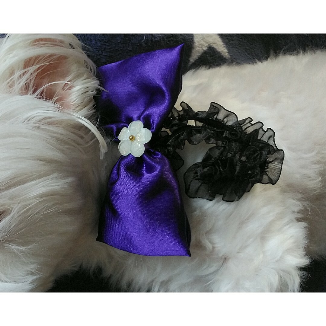 犬用フリルゴムチョーカー　紫色のリボン ハンドメイドのペット(ペット服/アクセサリー)の商品写真