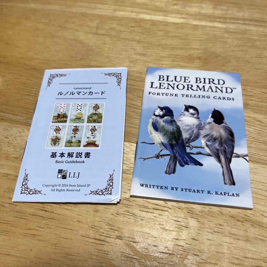 BLUE BIRD ルノルマンカード エンタメ/ホビーのテーブルゲーム/ホビー(トランプ/UNO)の商品写真