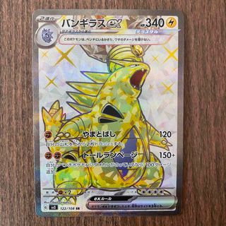 ポケモン(ポケモン)のバンギラスex sr バンギラスex RR(カード)