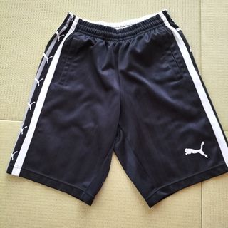 プーマ ジャージ ショートパンツ(レディース)の通販 8点 | PUMAの