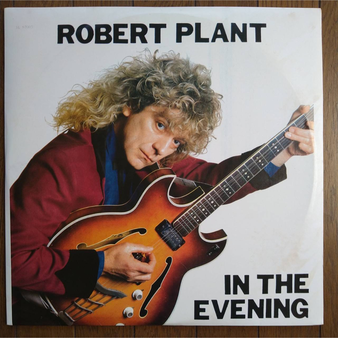 ROBERT PLANT     IN THE EVENING