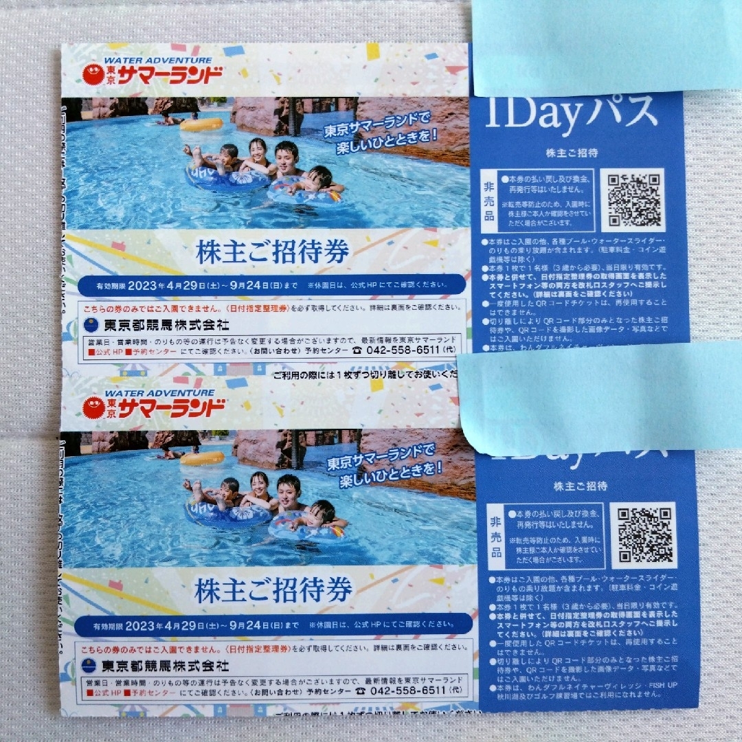 東京サマーランド フリーパス 東京都競馬 株主優待 株主招待券 2枚 チケットの施設利用券(プール)の商品写真