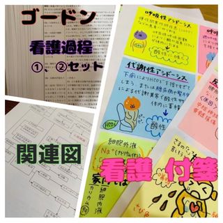 看護付箋ノート、関連図、ゴードン看護過程(健康/医学)