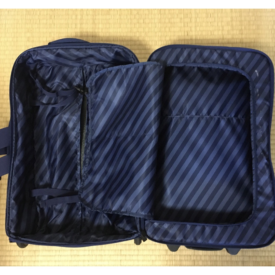 MILESTO(ミレスト)のMILESTO. キャリーバック　メンズ　レディース レディースのバッグ(スーツケース/キャリーバッグ)の商品写真