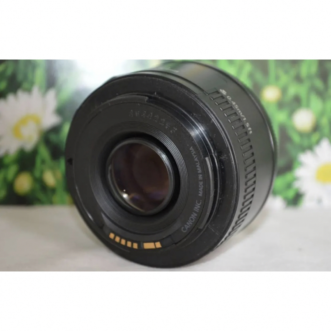 Canon EF 50mm F1.8 Ⅱ☆撮影の幅が広がる単焦点レンズ☆-
