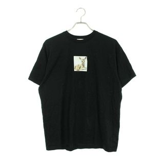 バーバリー(BURBERRY)のバーバリー  8022369 フロントプリントTシャツ メンズ XS(Tシャツ/カットソー(半袖/袖なし))