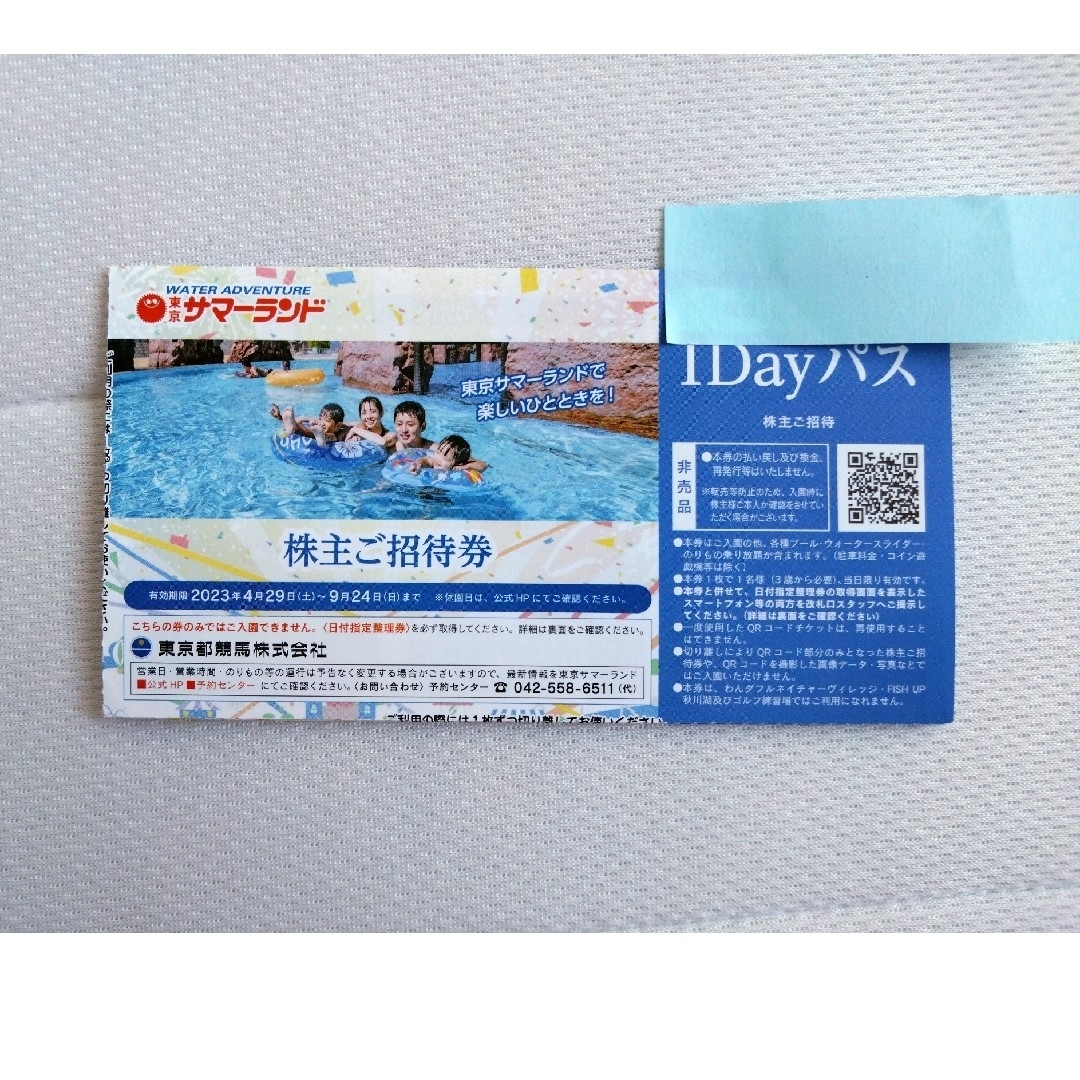 東京サマーランド フリーパス 東京都競馬 株主 株主招待券 1枚 チケットの施設利用券(プール)の商品写真