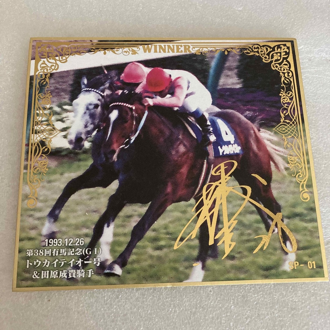 競馬色紙 田原成貴騎手箔押しサイン入りトウカイテイオーSP色紙 エンタメ/ホビーのおもちゃ/ぬいぐるみ(キャラクターグッズ)の商品写真