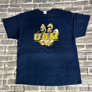 マジェスティック☆Tシャツ  ゆるだぼ カレッジロゴ 希少 90s cp9