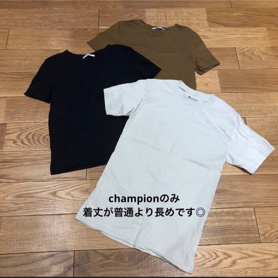 ZARA(ザラ)のZARA＆championのTシャツ３枚セット レディースのトップス(Tシャツ(半袖/袖なし))の商品写真